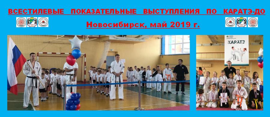 Demonstration of different styles of karate-do was held in Novosibirsk city (Russia)