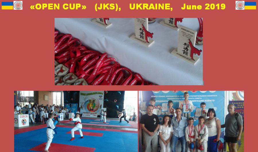 In June, in the city of Berdyansk (Ukraine) was held the open Sea of Azov Cup in karate-do (JKS)